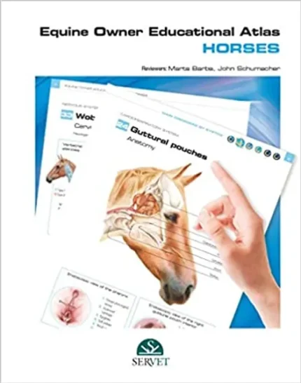 Equine owner educational atlas. Horses