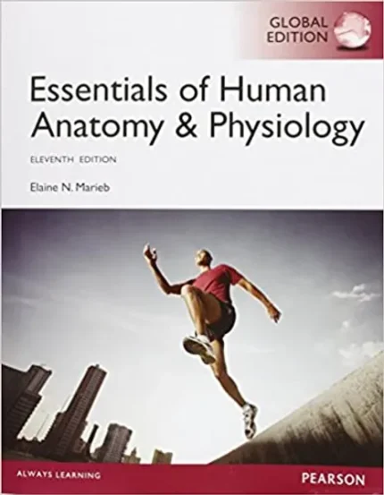 Essen Human Anatomy & Physiology